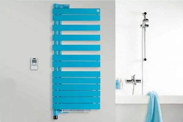 Полотенцесушитель электрический Zehnder Roda ROER-190-55/IPS